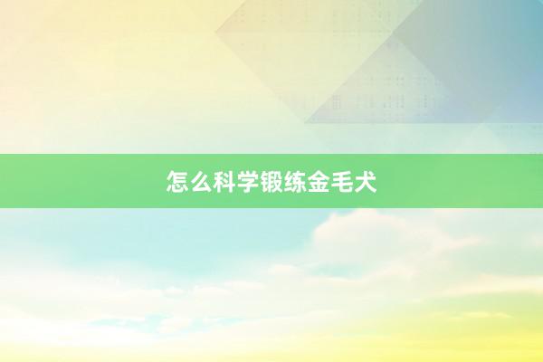怎么科学锻练金毛犬