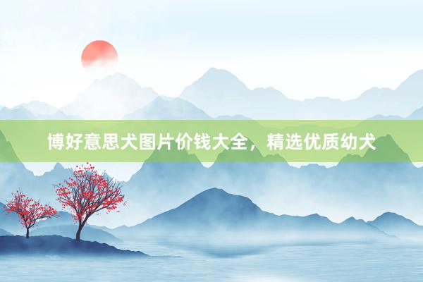博好意思犬图片价钱大全，精选优质幼犬
