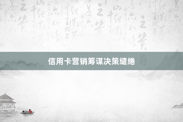 信用卡营销筹谋决策缱绻